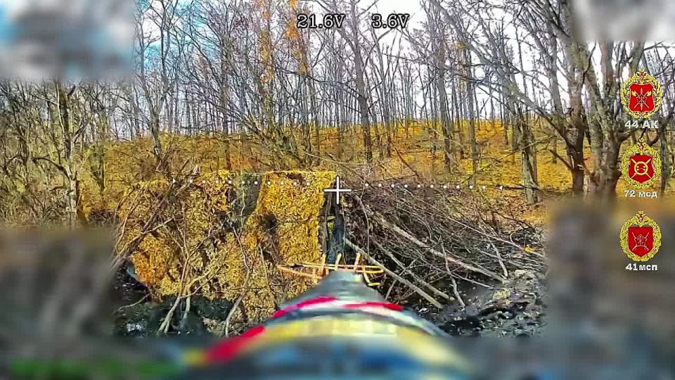  .     41  44        ,       