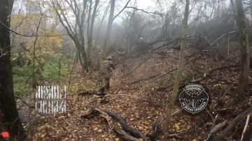 Купянское направление. «Боевые ходячие кусты» с нашего дружеского подразделения продолжают выполнять действия в лесах, в этот раз были взяты в плен три жутика, которые спокойно пили чай и ничего не подозревали