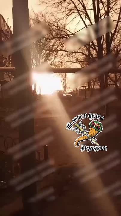 Ночь в Лимановке превратилась в день