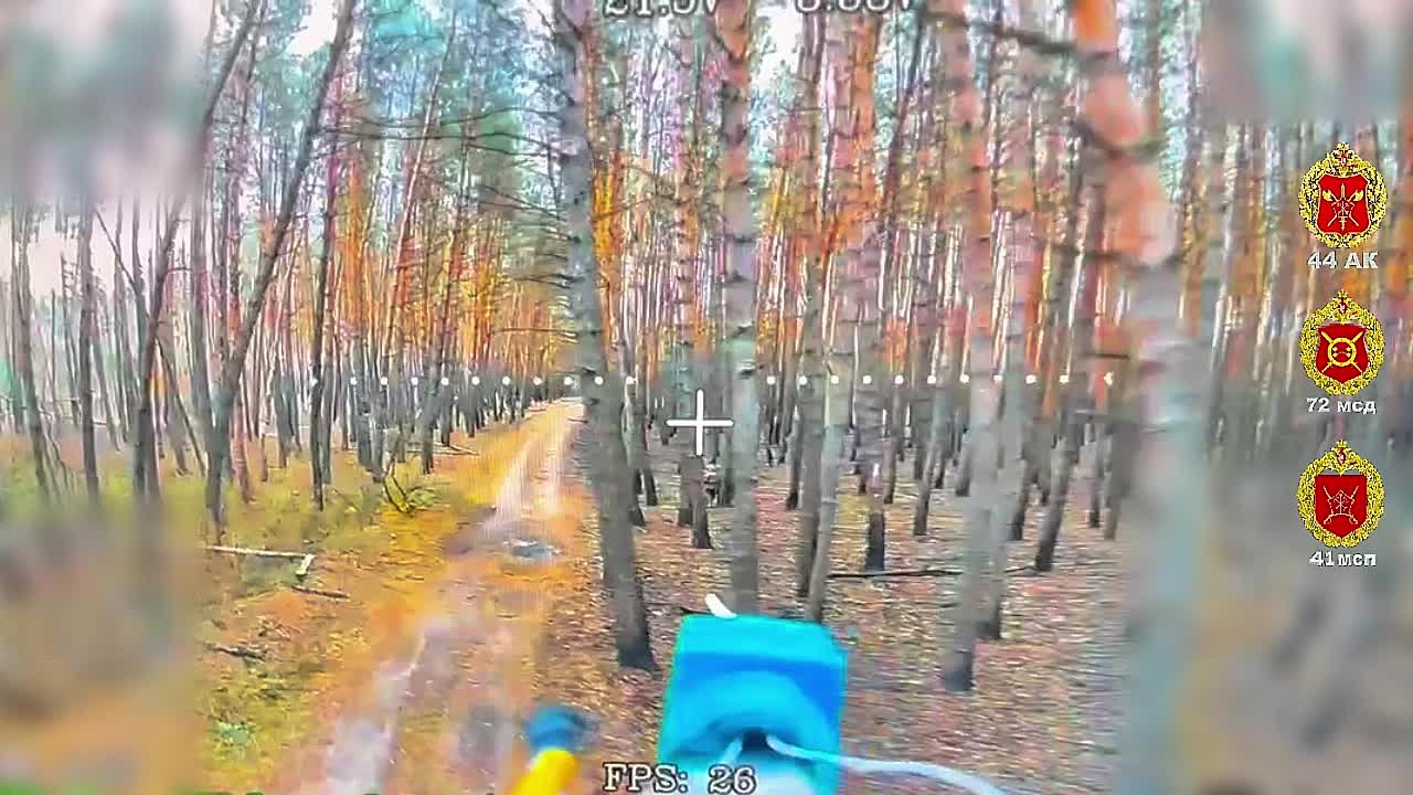 Лесная охота. Харьковская область