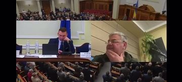 Депутат Мамка: Мы ищем деньги в брикетах, хотим понять, кто их приносил, а кто выносил