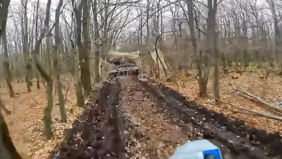  &quot;&quot;         ,    