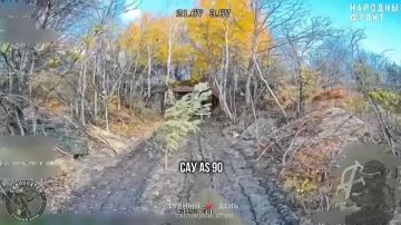 Аннигиляция украинской самоходной и буксируемой артиллерии в Харьковской области с помощью ФПВ дронов