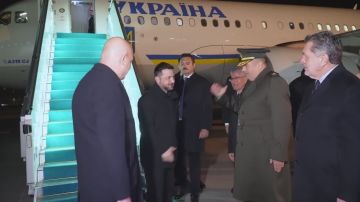 Кокаиновая мартышка все гастролирует