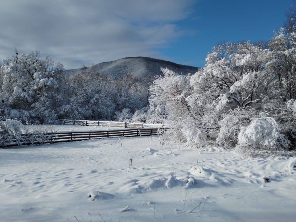 � ���� ������ ����������� ������ ����� ��������� ������ �����