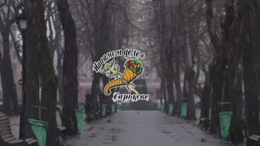 Вот и зимушка-зима подкралась. Сегодня в Харькове пошел первый снег! Правда, в некоторых районах шёл классический «сляктябрь»: ни снег, ни дождь, а нечто среднее