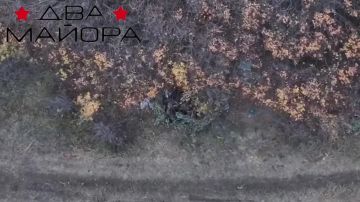 Два майора: Харьковское направление. Окрестности н.п. Хатное