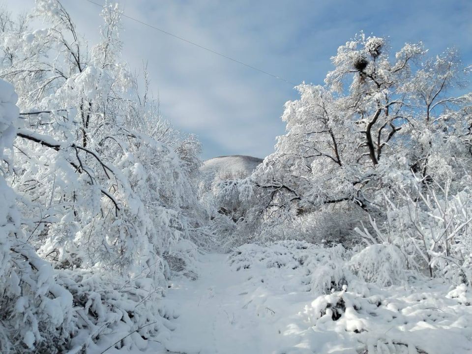 � ���� ������ ����������� ������ ����� ��������� ������ �����