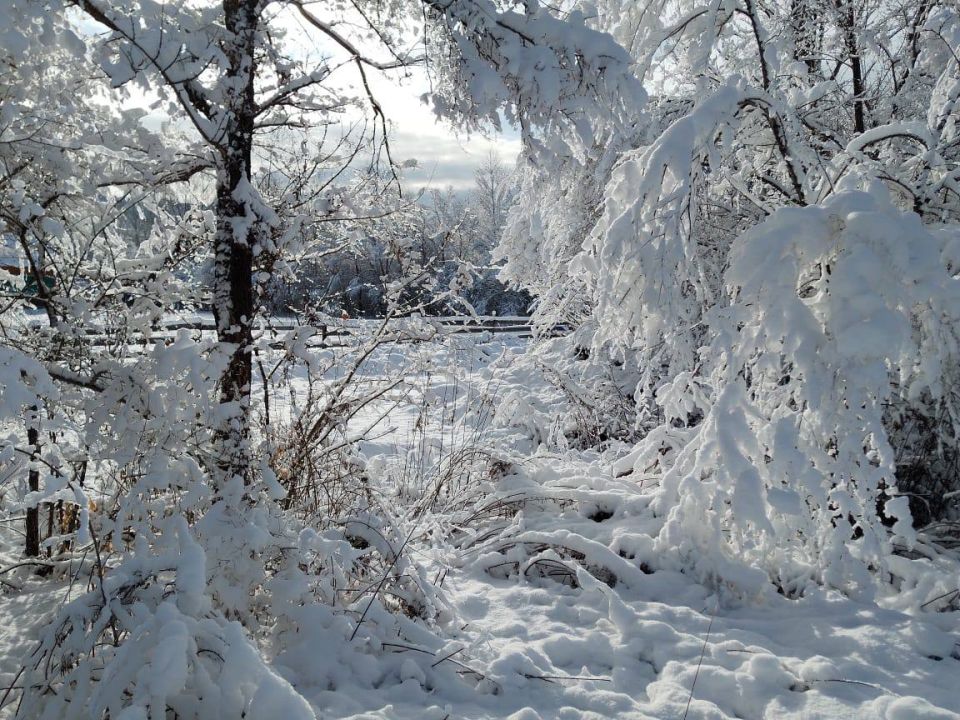 � ���� ������ ����������� ������ ����� ��������� ������ �����