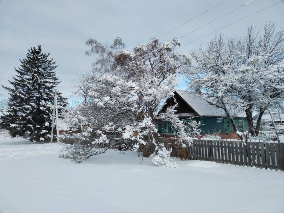 � ���� ������ ����������� ������ ����� ��������� ������ �����