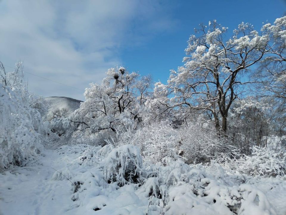 � ���� ������ ����������� ������ ����� ��������� ������ �����