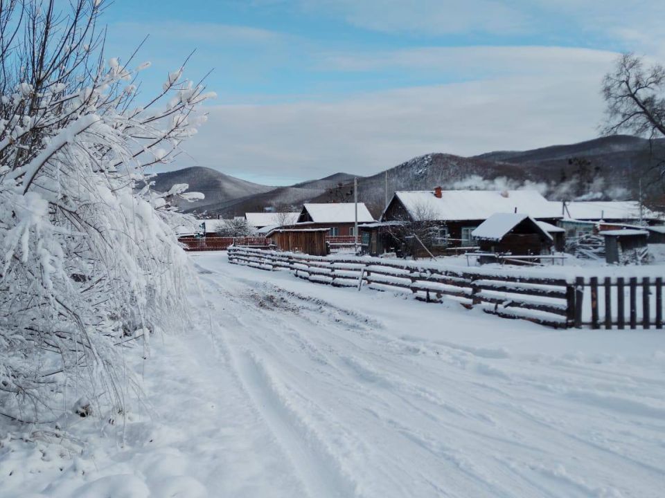 � ���� ������ ����������� ������ ����� ��������� ������ �����