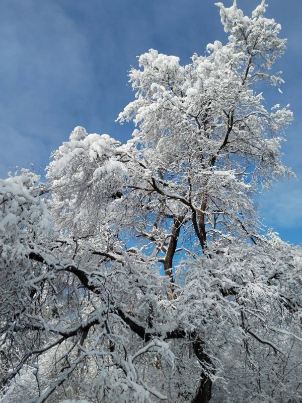 � ���� ������ ����������� ������ ����� ��������� ������ �����