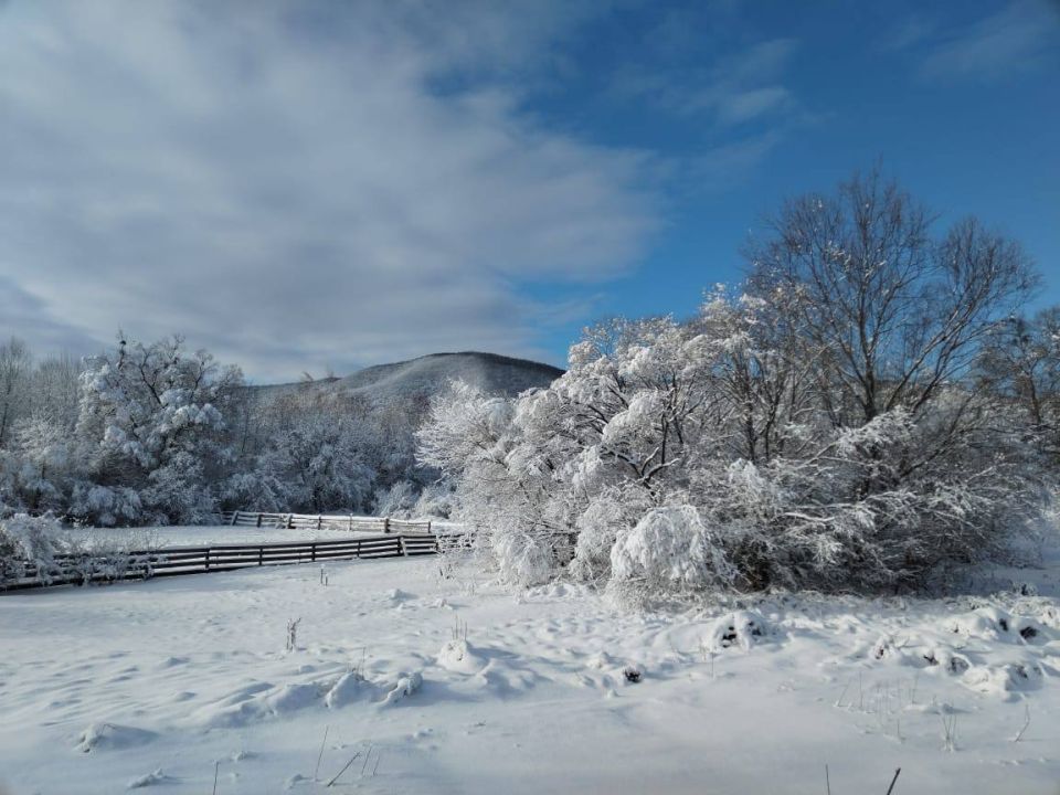 � ���� ������ ����������� ������ ����� ��������� ������ �����