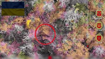 С пометкой «Вскрыто». Харьковская область Расчёты БпЛА 41 мсп 44 Армейского корпуса кошмарят личный состав противника в окопах и укрытиях, не оставляя врагу шансов уцелеть