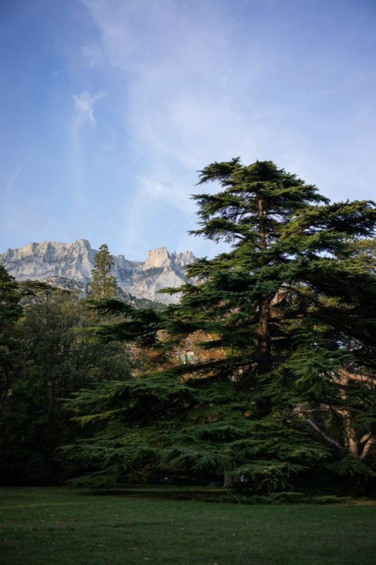 ������������ ������ � ��� ���������