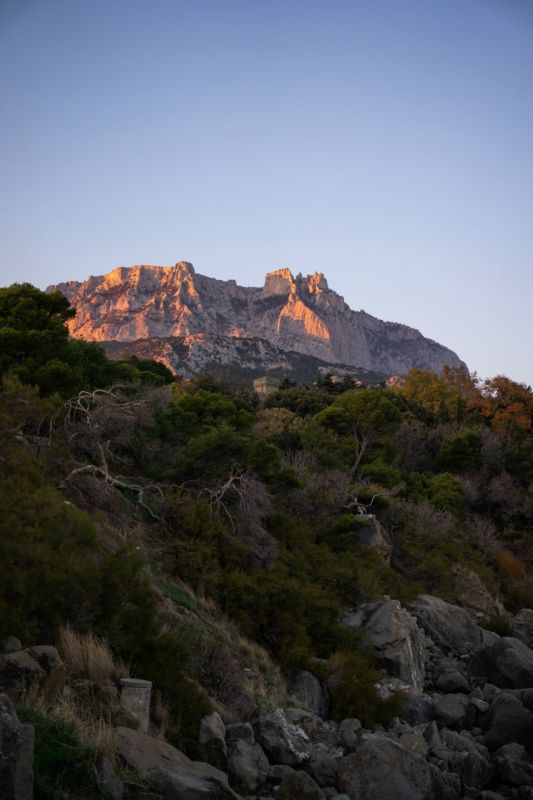 ������������ ������ � ��� ���������