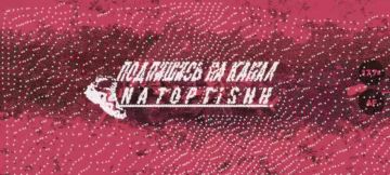 Оператор FPV 11 АК группировки "Север" поразил дроном-камикадзе на оптоволокне квадроцикл ВСУ в Харьковской области