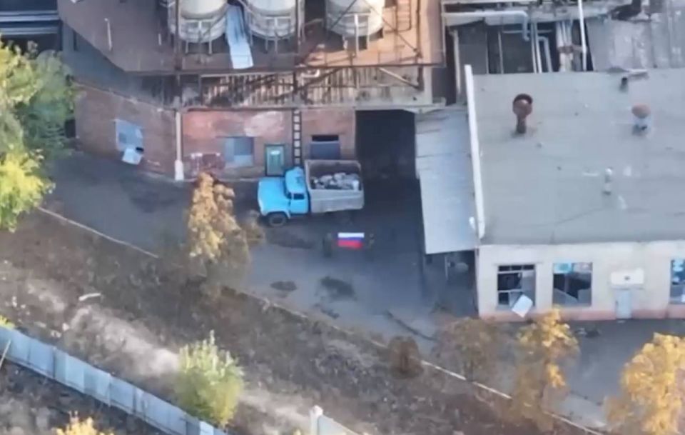 ��������� ���: ������� ����� � ��������. ����� ���� �� ����� � ����������� ����� ������������� � ������ ������� ��������