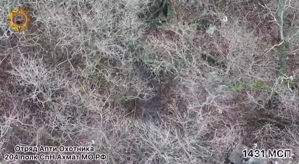 Апти Алаудинов: Уничтожение вражеского блиндажа с расчётом БпЛА противника