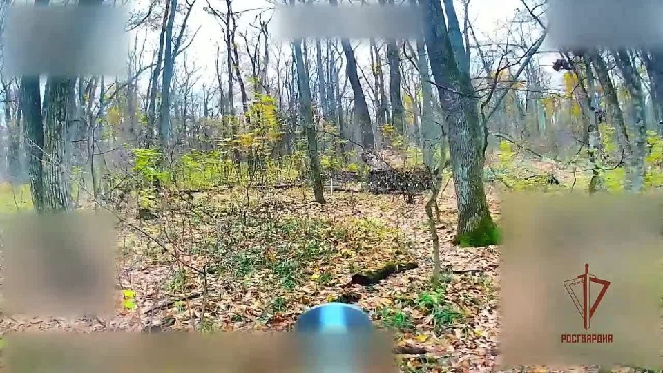 Росгвардейцы уничтожили самоходное орудие и пункт управления БПЛА на харьковском направлении