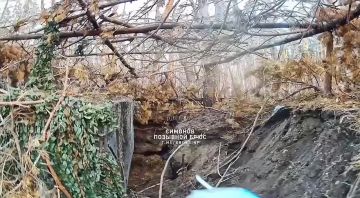 Александр Симонов: В районе Купянска-Узлового уничтожена редкая командо-штабная машина американского производства М577