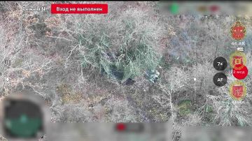 Прямое попадание. Харьковская область