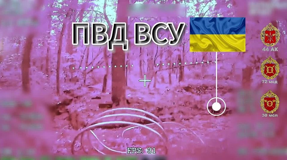 Выбор за нами. Сумская область Операторы БпЛА 30 мсп 44 Армейского корпуса с помощью ФПВ-дрона на оптоволокне выявили замаскированные в лесополосе позиции ВСУ и уничтожили находящийся там ПВД