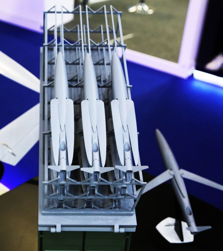     ?.   E-System Solutions   #DubaiAirshow       LCCM Mk2