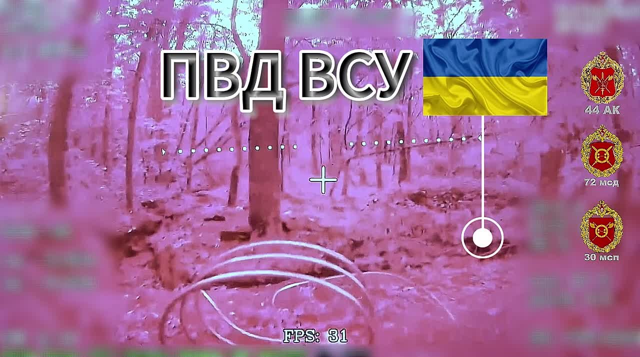 Выбор за нами. Сумская область Операторы БпЛА 30 мсп 44 Армейского корпуса с помощью ФПВ-дрона на оптоволокне выявили замаскированные в лесополосе позиции ВСУ и уничтожили находящийся там ПВД