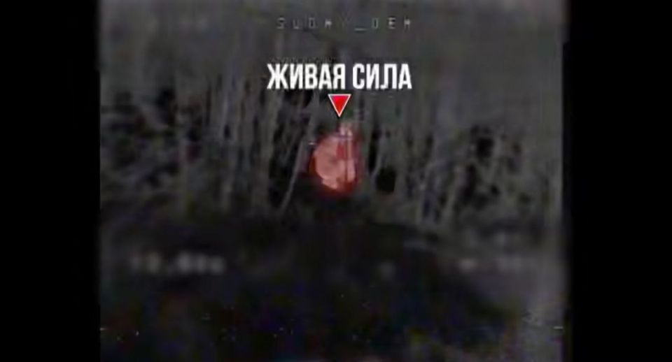 ��� ���� �������� ����� �� �������� �� ����������� ���������� ����������