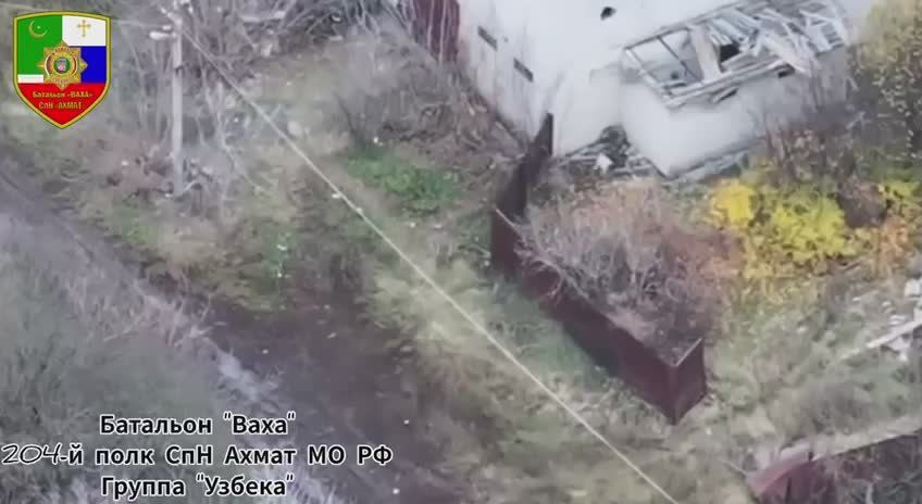 ����������� ������ ���������� ���� ���������� �� ����������� �����������