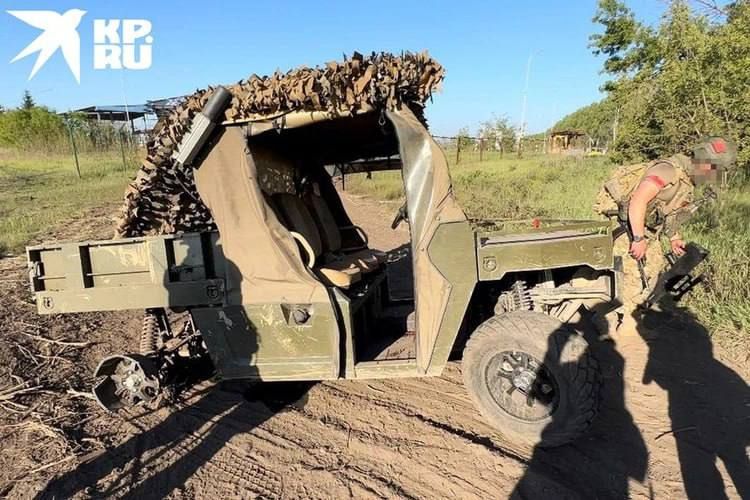 ��������� ���: �������� ����:. ��� ��������� ���