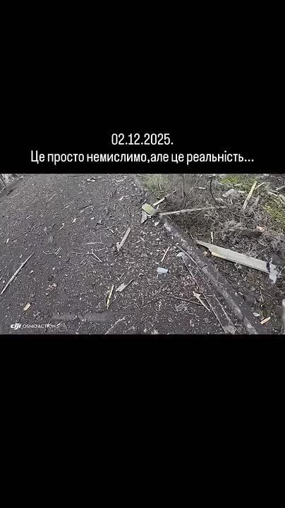 ��������� �����. ��� ����� �� ������� ����������� ��������, 02.12.2025. ����� ��� ������ ����� ������