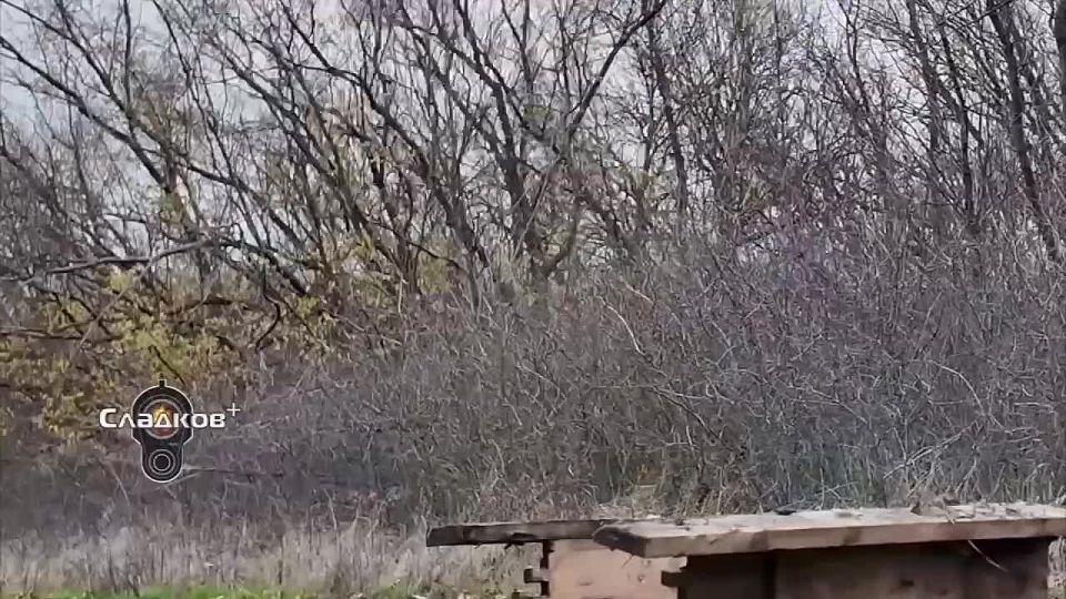 ��������� �������: ������ �����, ����� �� ������ ������ �������� � ��������� ������� �������: �������, ����, ��������������, �������� ��������, � � �������, ������� �������� ����������� �� ����� ������� - ��������� � ������