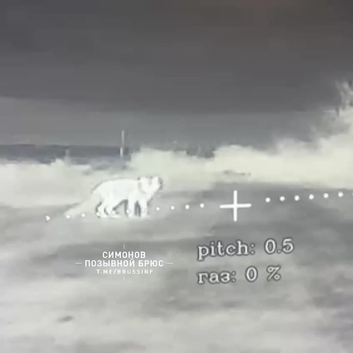 ��������� �������: ����������� ������� � ����������� ������� ������ ��� ���������