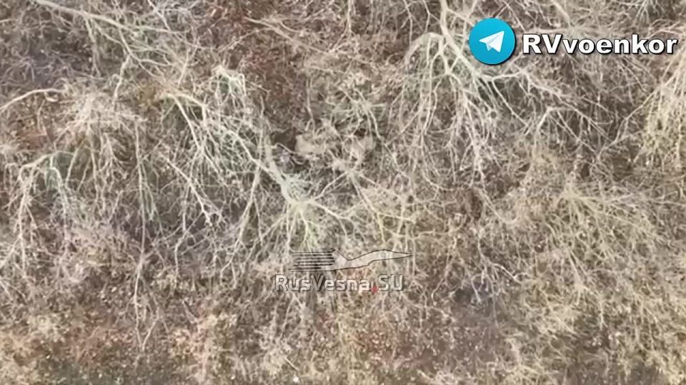 15 ���� ���������� ������ ��� � ��������