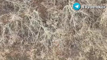 15 полк уничтожает пехоту ВСУ у Купянска