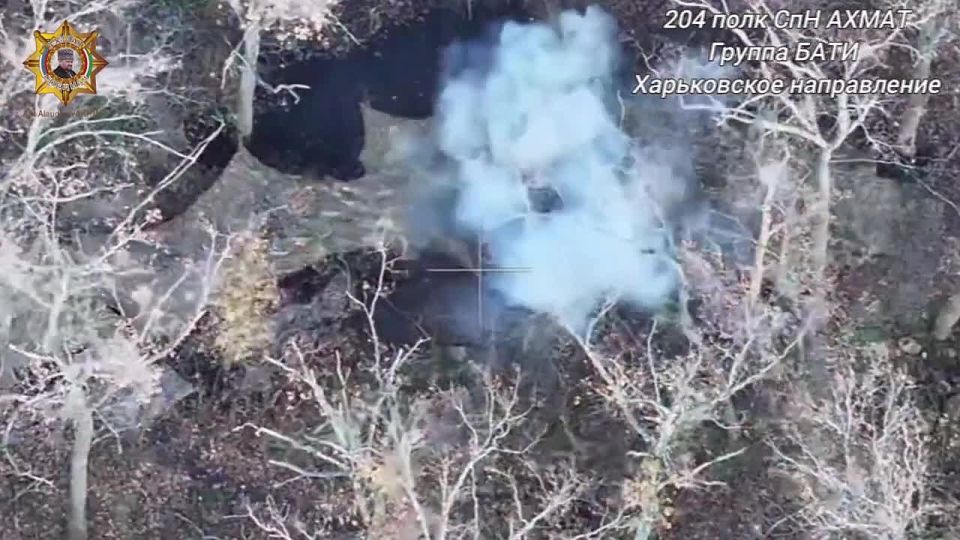 ���� ���������: ����������� ���������� ������� � ������ �������� ����������