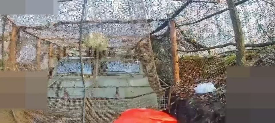 ����������� ���������� ��� "�������" ������� �������