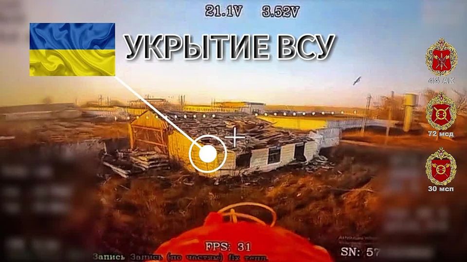 ����� � ����. ������� ������� ������ ���� 30 ��� 44 ���������� ������� ������� ������� ������� ���