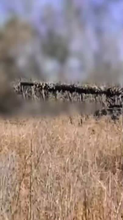 ������� ������� �� ����:. �� �� ���������� ������ � ��� � ��������� � ����������� ������� ��-�� ������ �� ��� ������� ����������� � �������� 1,5 ������ ����� � �������� �������� ������ ����� ��������� ��������������� ���...