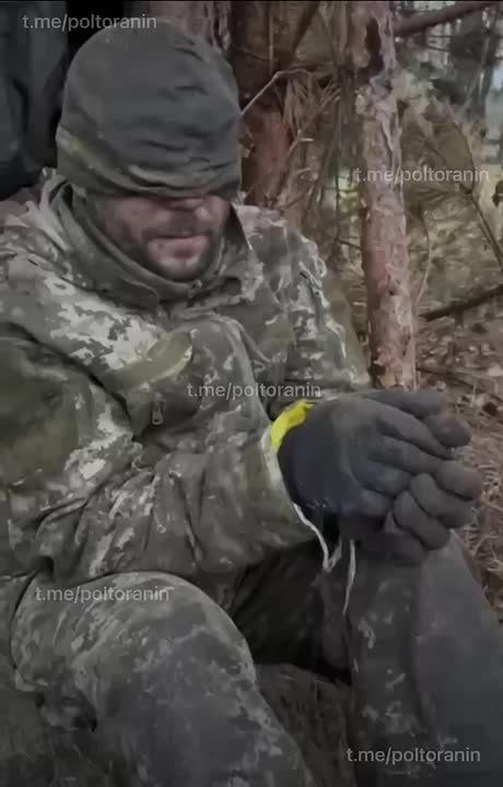 Пленные боевики ВСУ, взятые в Волчанске