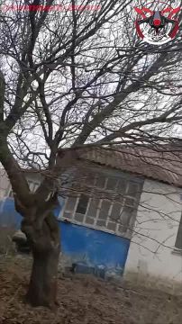 От подписчиков: штурмовики выкуривают ВСУ в Купянске