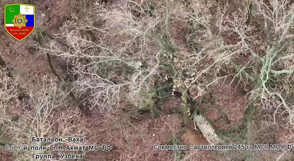 ����������� �������� ������ ���������� �� ����������� �����������