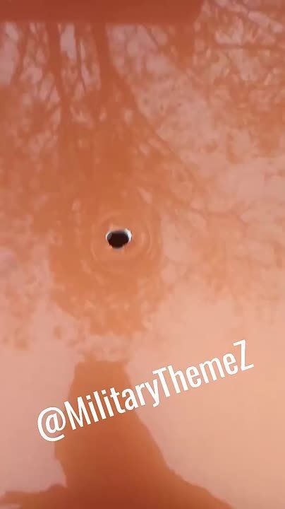 "����� ������� ��� � ���������" ����������� ������ ��� 404 � �������� �� ������� ��������