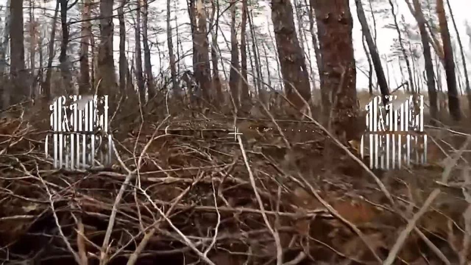 ��������, �� ��� �����.. �� ���� ���������� ����������� � ����� �� ��������� ����������� ����� ����������� � ����������� �����, ��� ����� ����