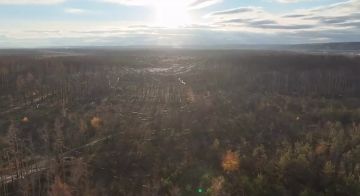 Нити от оптоволоконных дронов армии России на купянском направлении