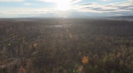 Нити от оптоволоконных дронов армии России на купянском направлении