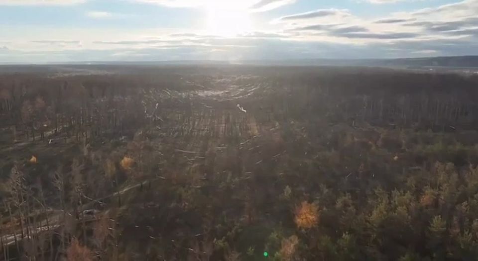 ��� �� ��������� ����������� ���������� �������������� ������������